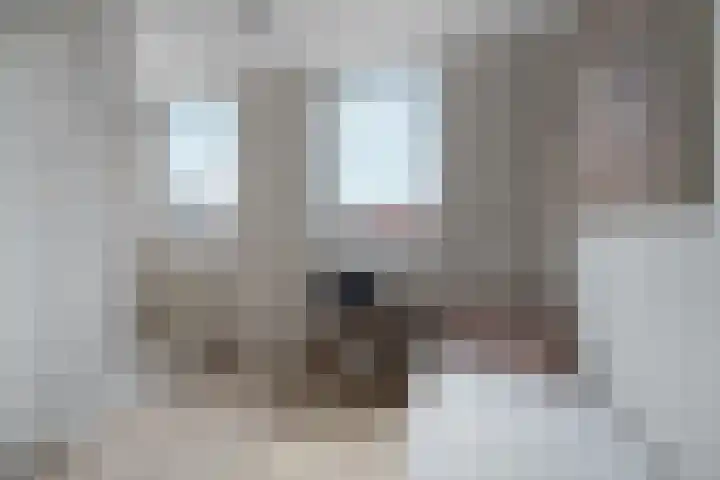 Uithoornstraat 11 2 Amsterdam thumbnail 32