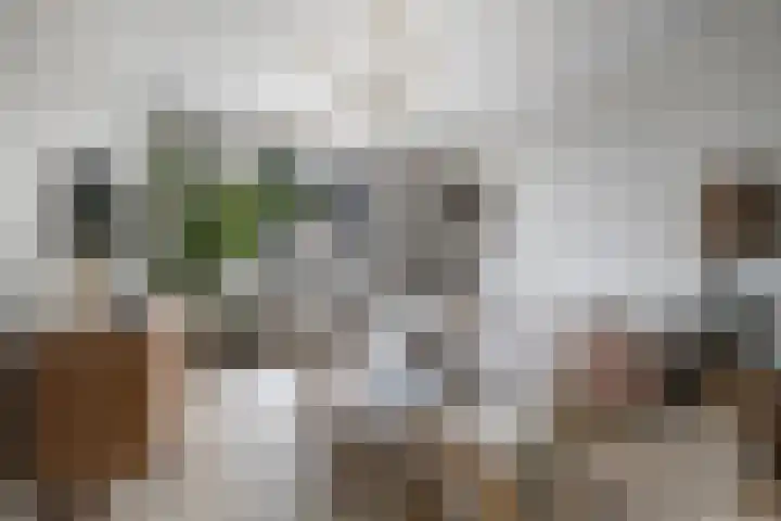 Uithoornstraat 11 2 Amsterdam thumbnail 7