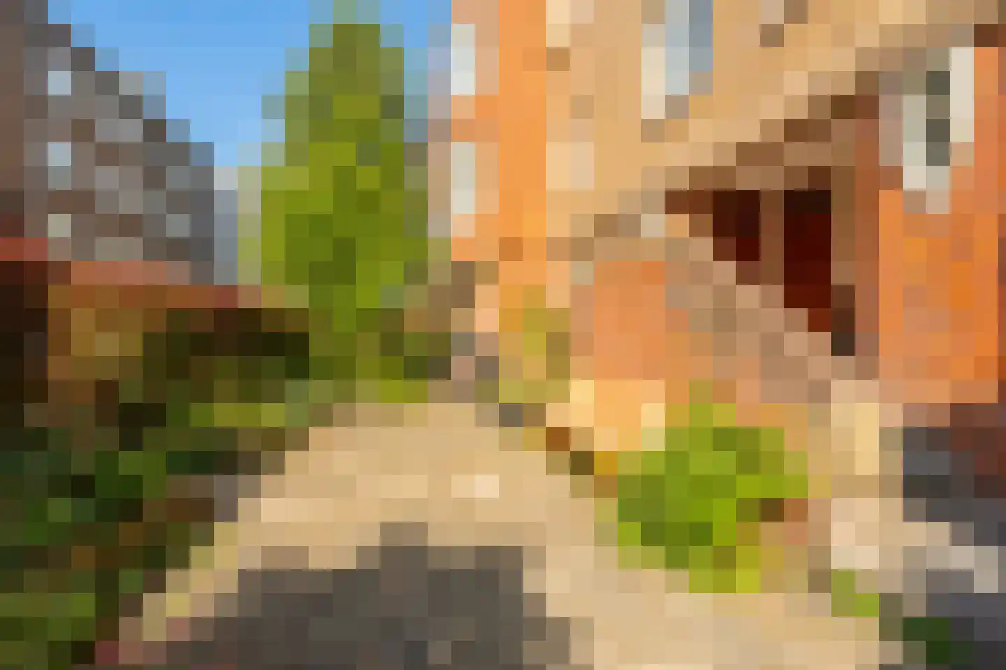 Uithoornstraat 2 A 1 Amsterdam thumbnail 43