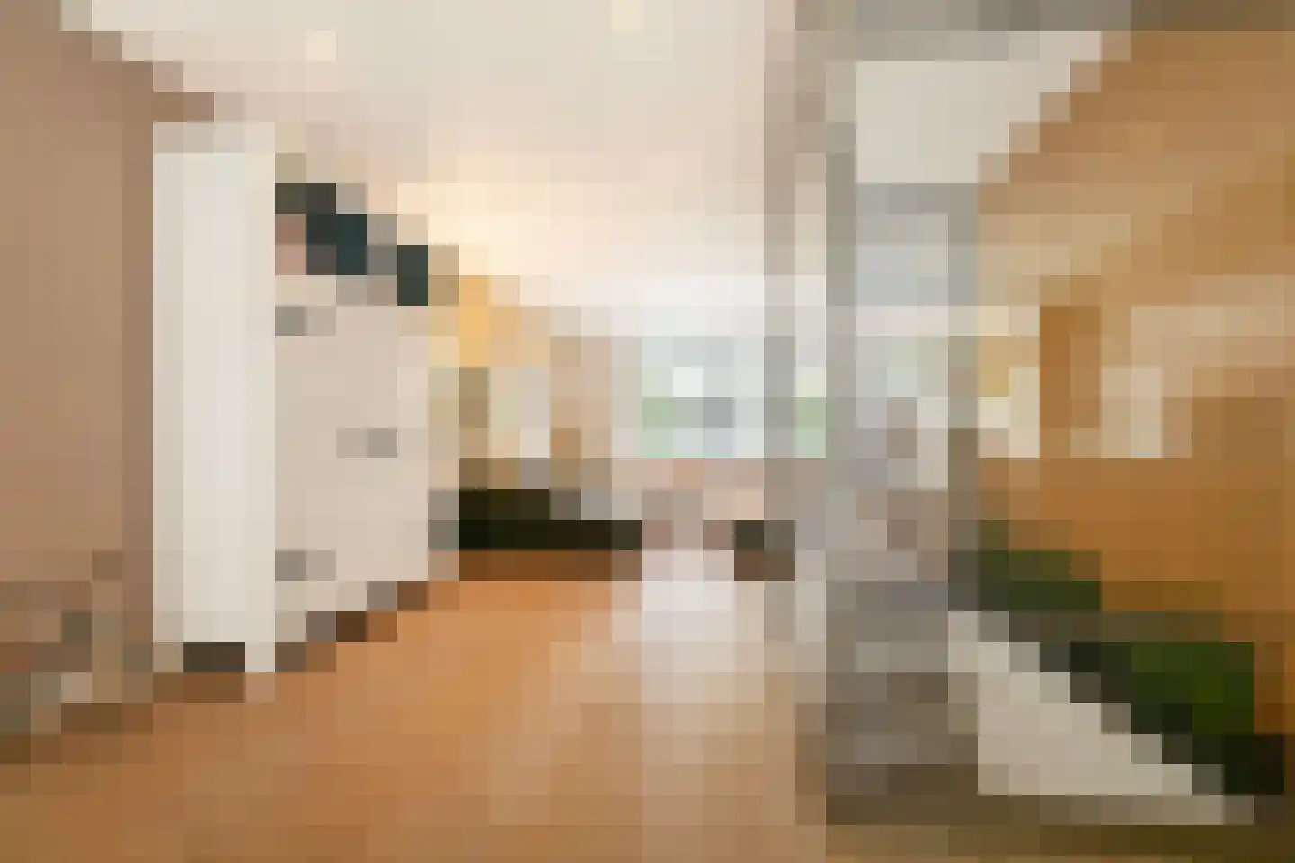 Uithoornstraat 27 2 Amsterdam thumbnail 10