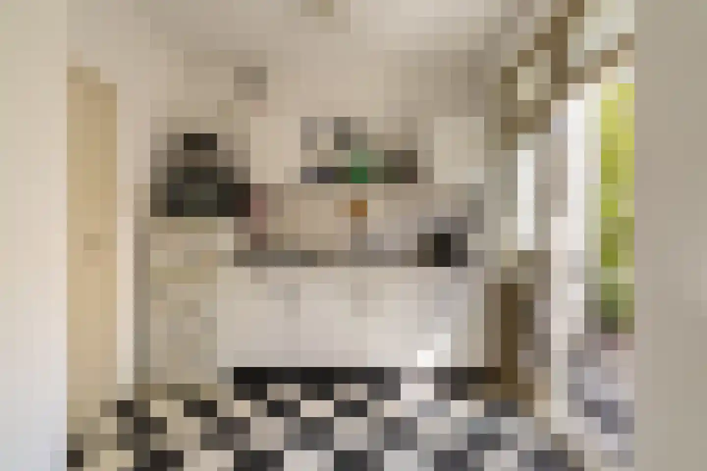 Uithoornstraat 3 1 Amsterdam thumbnail 12