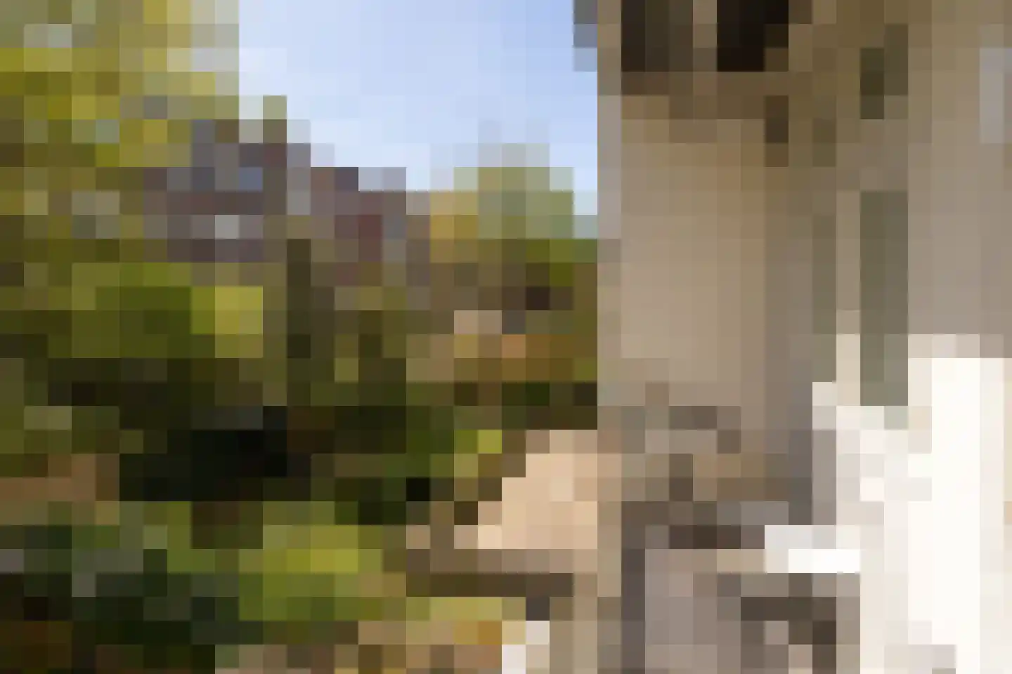 Uithoornstraat 3 2 Amsterdam thumbnail 5