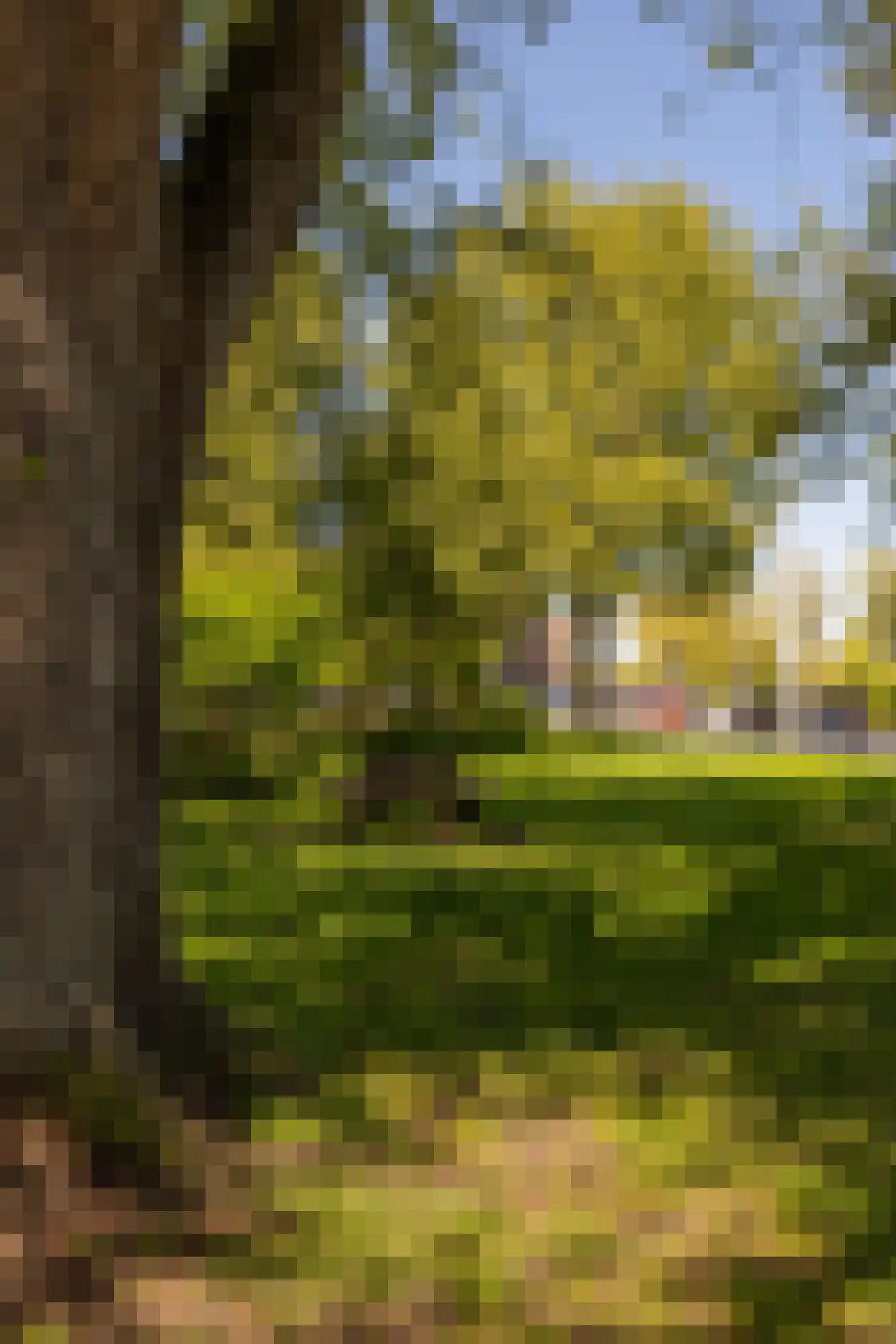 Uithoornstraat 3 3 Amsterdam thumbnail 18