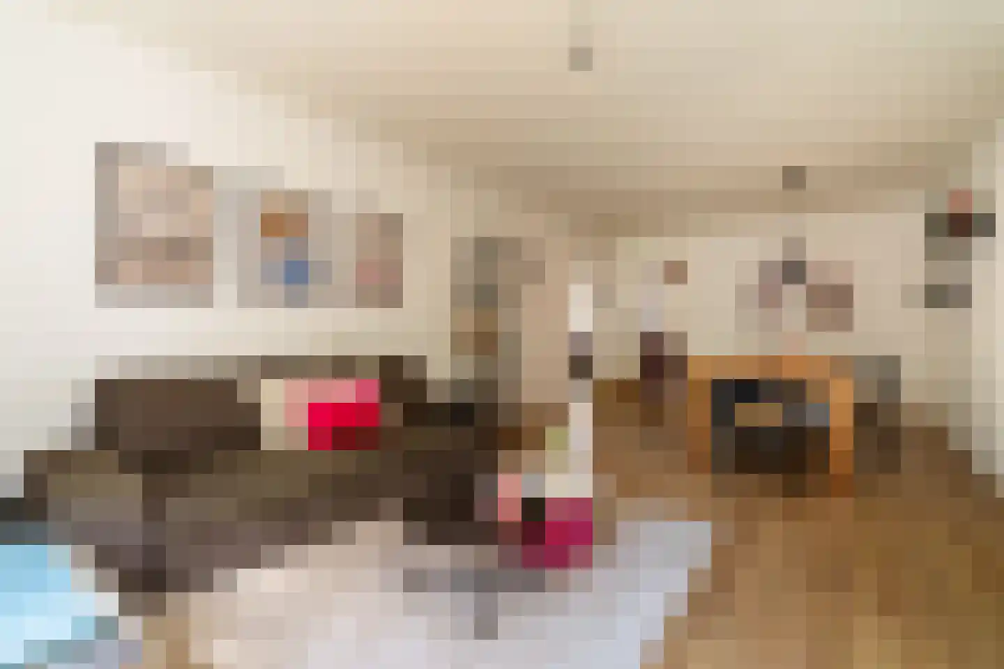 Uithoornstraat 3 3 Amsterdam thumbnail 4