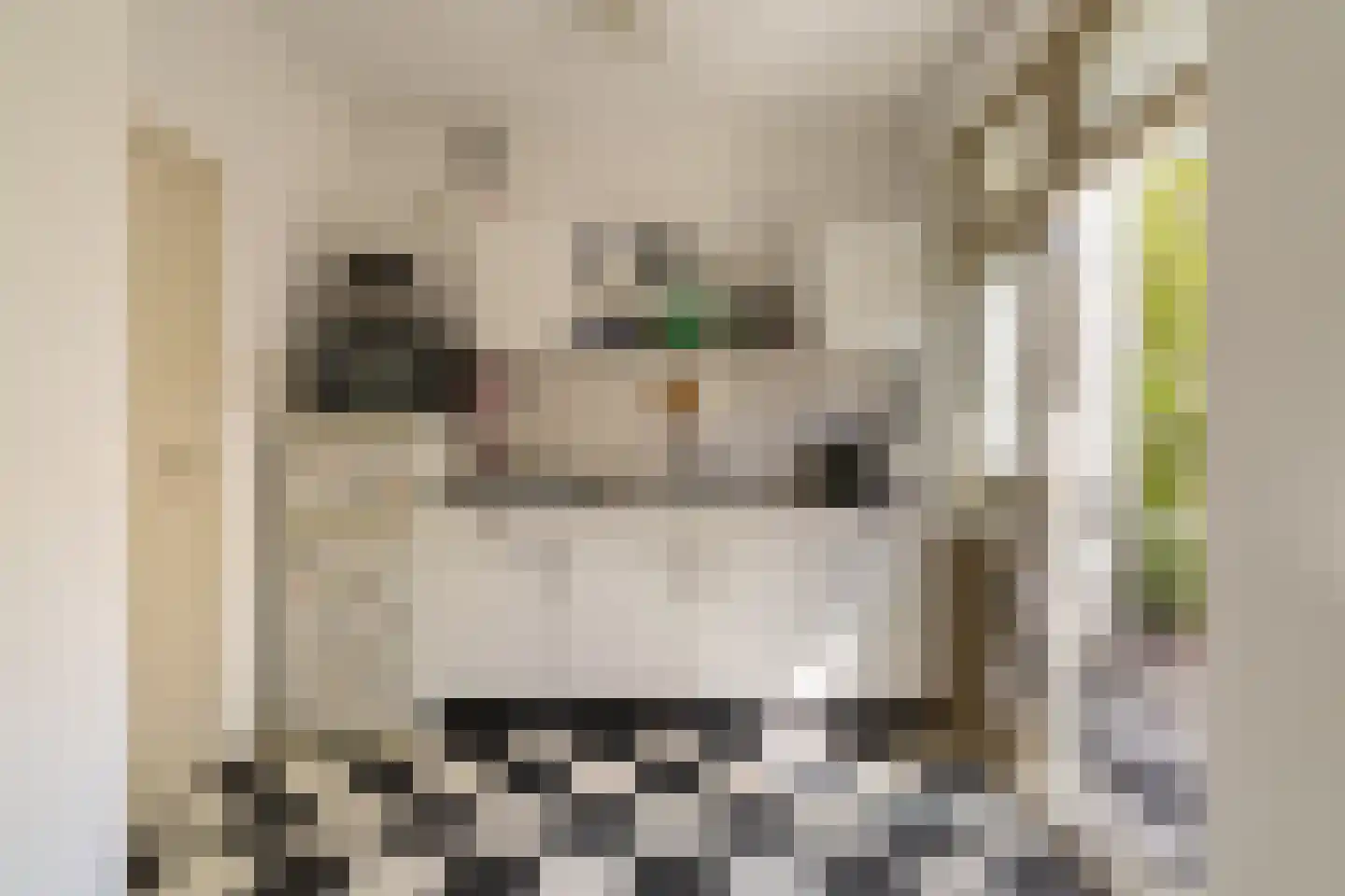 Uithoornstraat 3 3 Amsterdam thumbnail 9