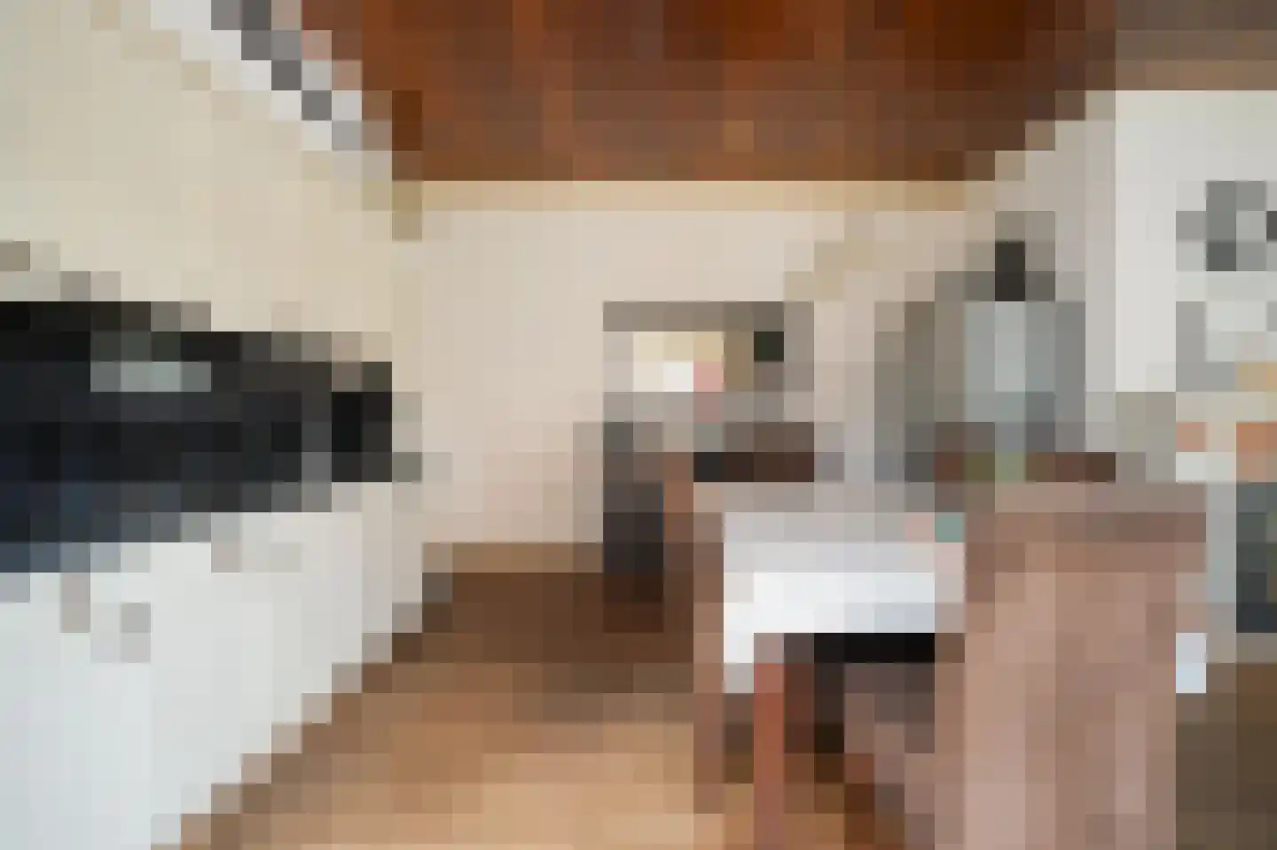 Uithovensestraat 10 Hedel thumbnail 10