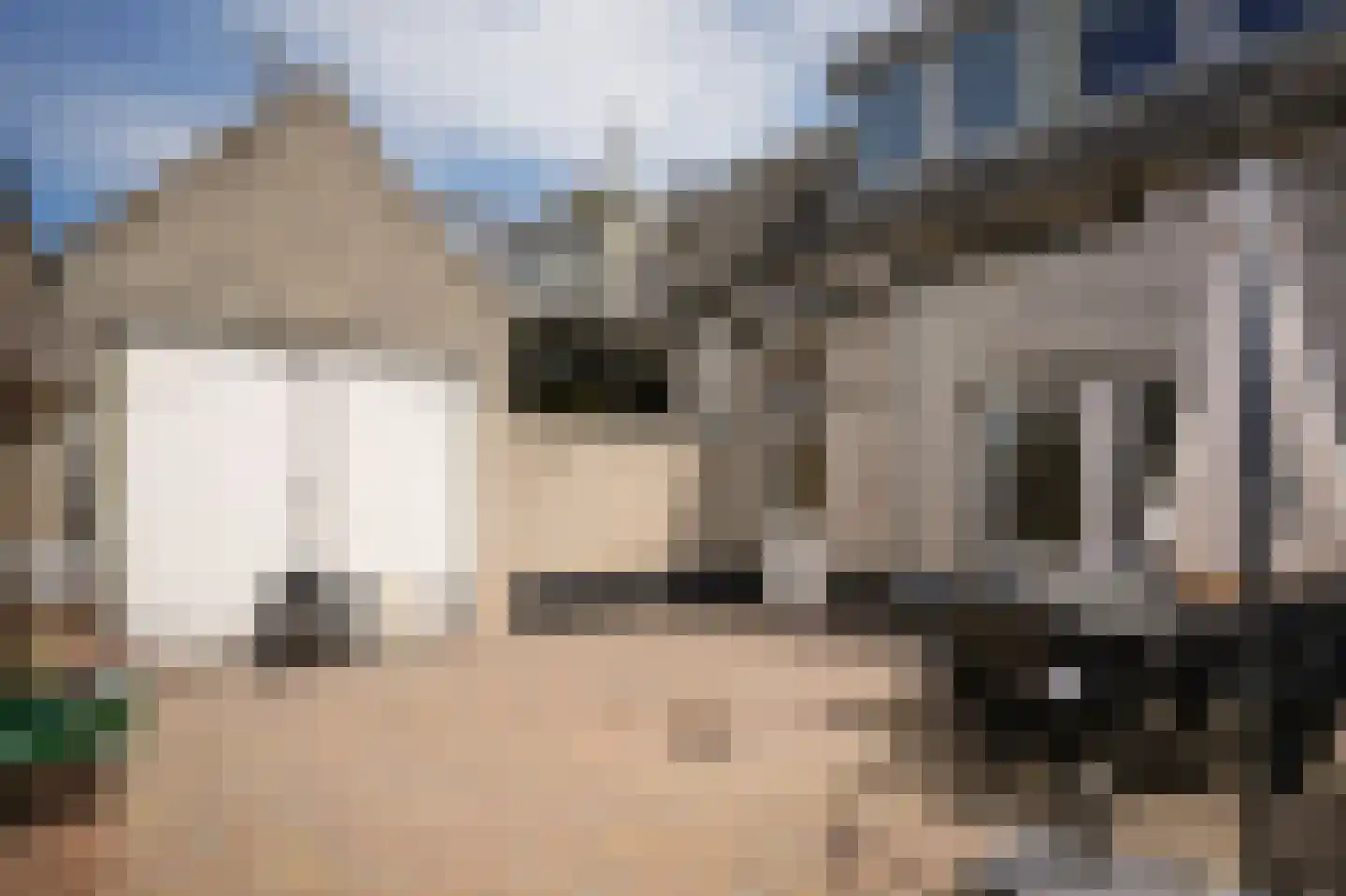 Uithovensestraat 10 Hedel thumbnail 15