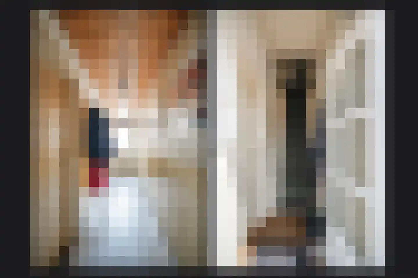 Uithovensestraat 10 Hedel thumbnail 16