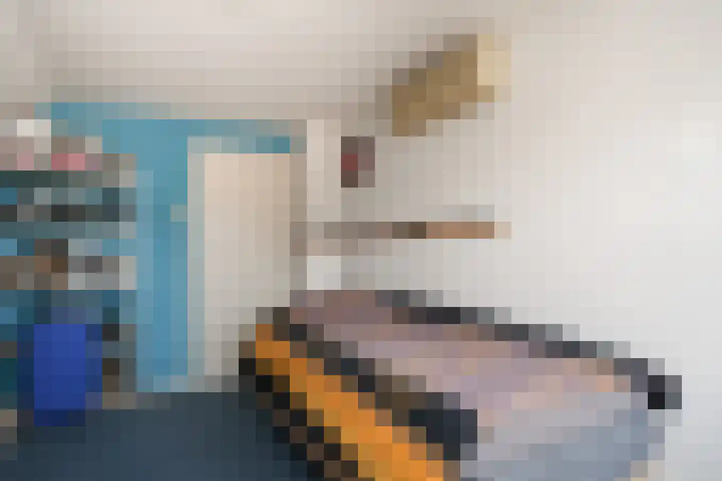 Uithovensestraat 10 Hedel thumbnail 24