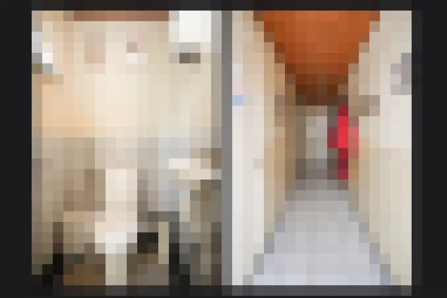 Uithovensestraat 10 Hedel thumbnail 27