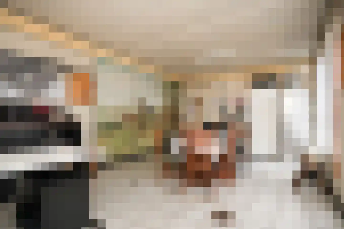 Uithovensestraat 10 Hedel thumbnail 28