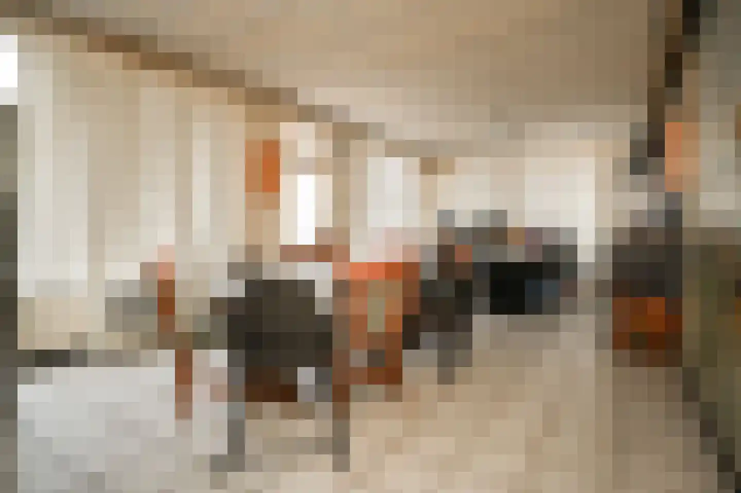 Uithovensestraat 10 Hedel thumbnail 29