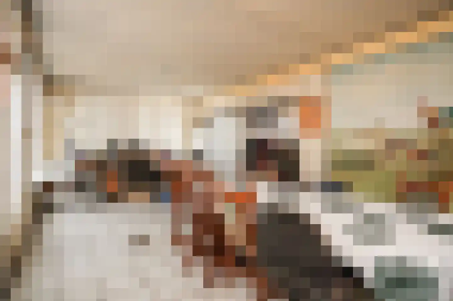 Uithovensestraat 10 Hedel thumbnail 30