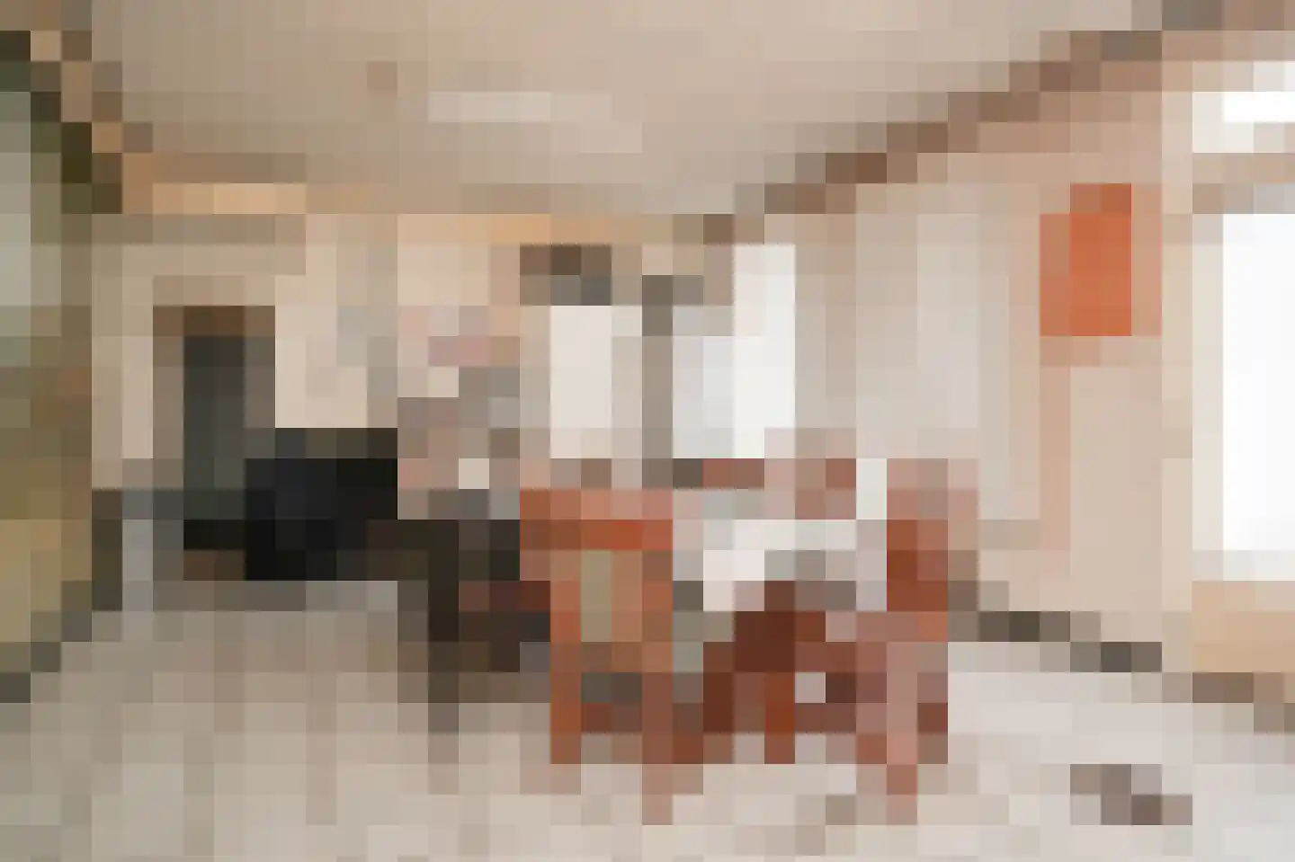 Uithovensestraat 10 Hedel thumbnail 31