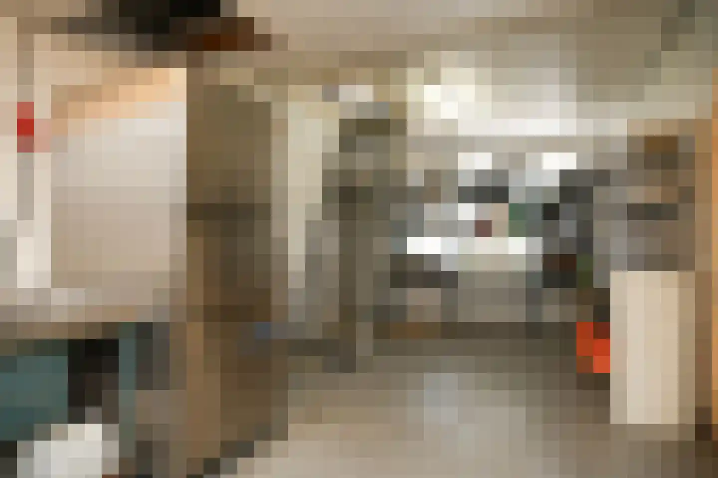 Uithovensestraat 10 Hedel thumbnail 32