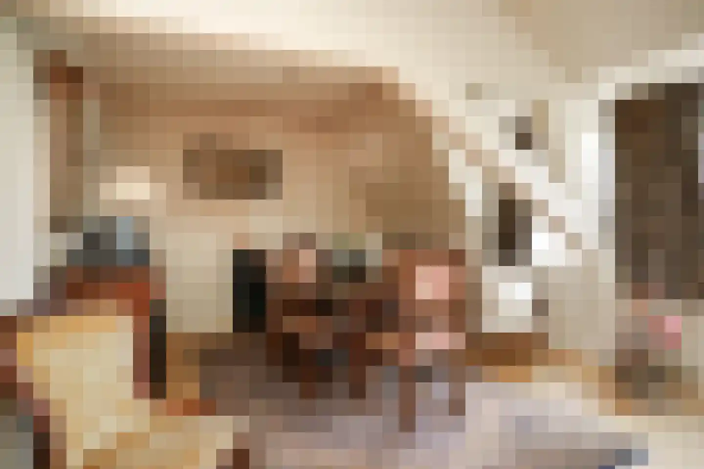 Uithovensestraat 10 Hedel thumbnail 40