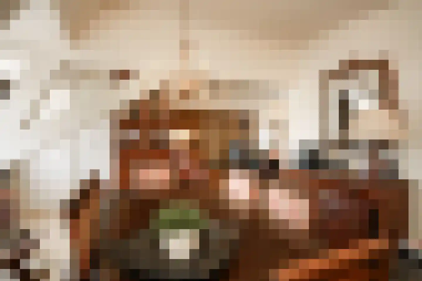 Uithovensestraat 10 Hedel thumbnail 41