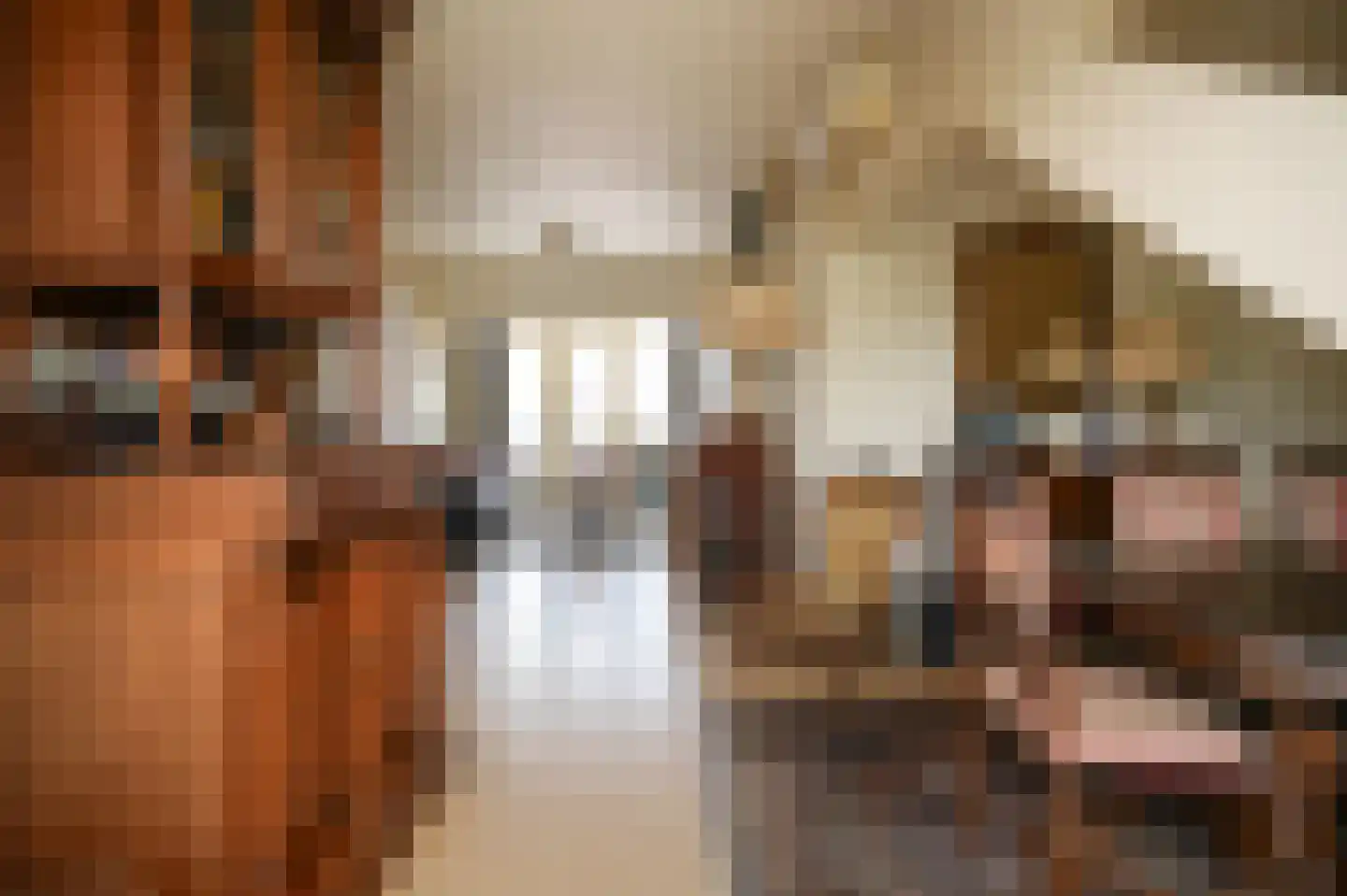 Uithovensestraat 10 Hedel thumbnail 42