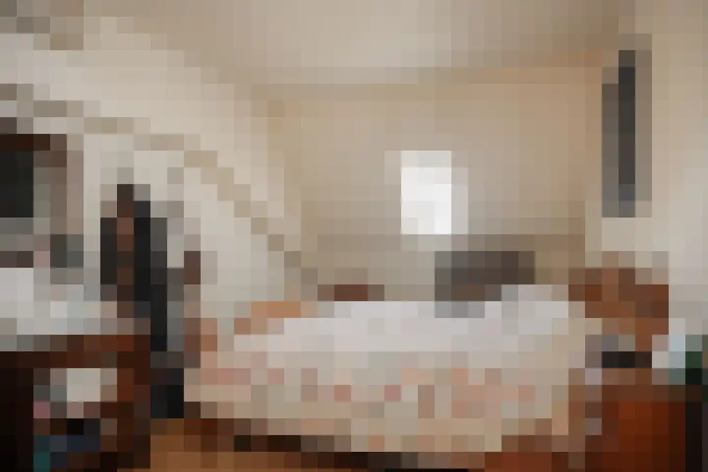 Uithovensestraat 10 Hedel thumbnail 46