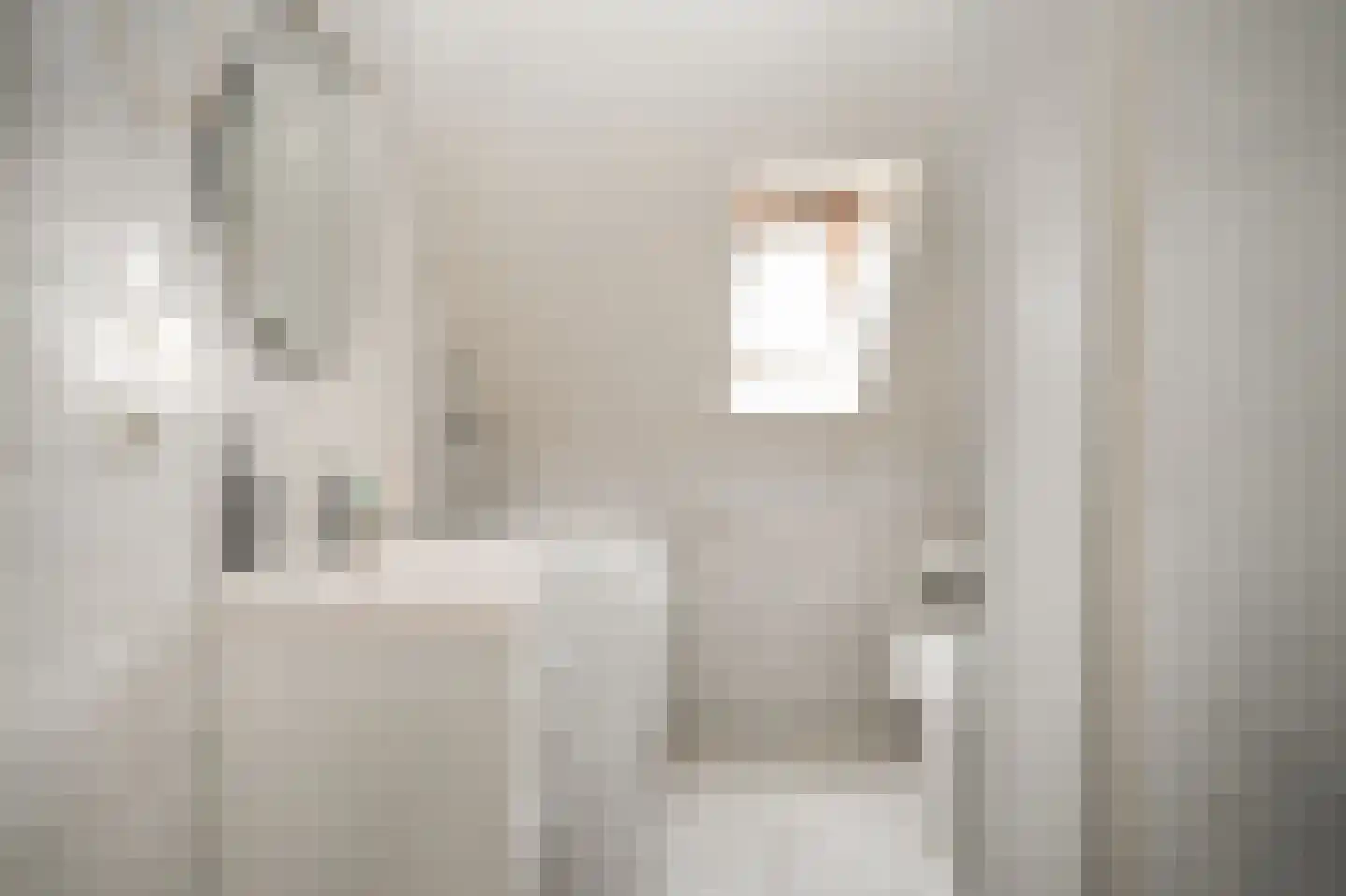 Uithovensestraat 10 Hedel thumbnail 47