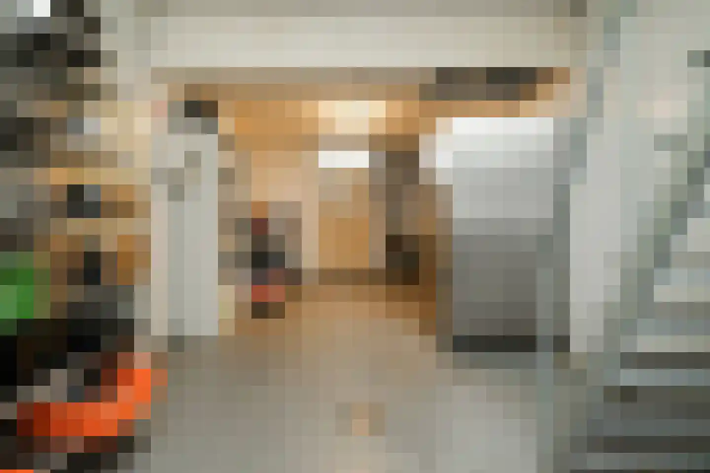 Uithovensestraat 10 Hedel thumbnail 49