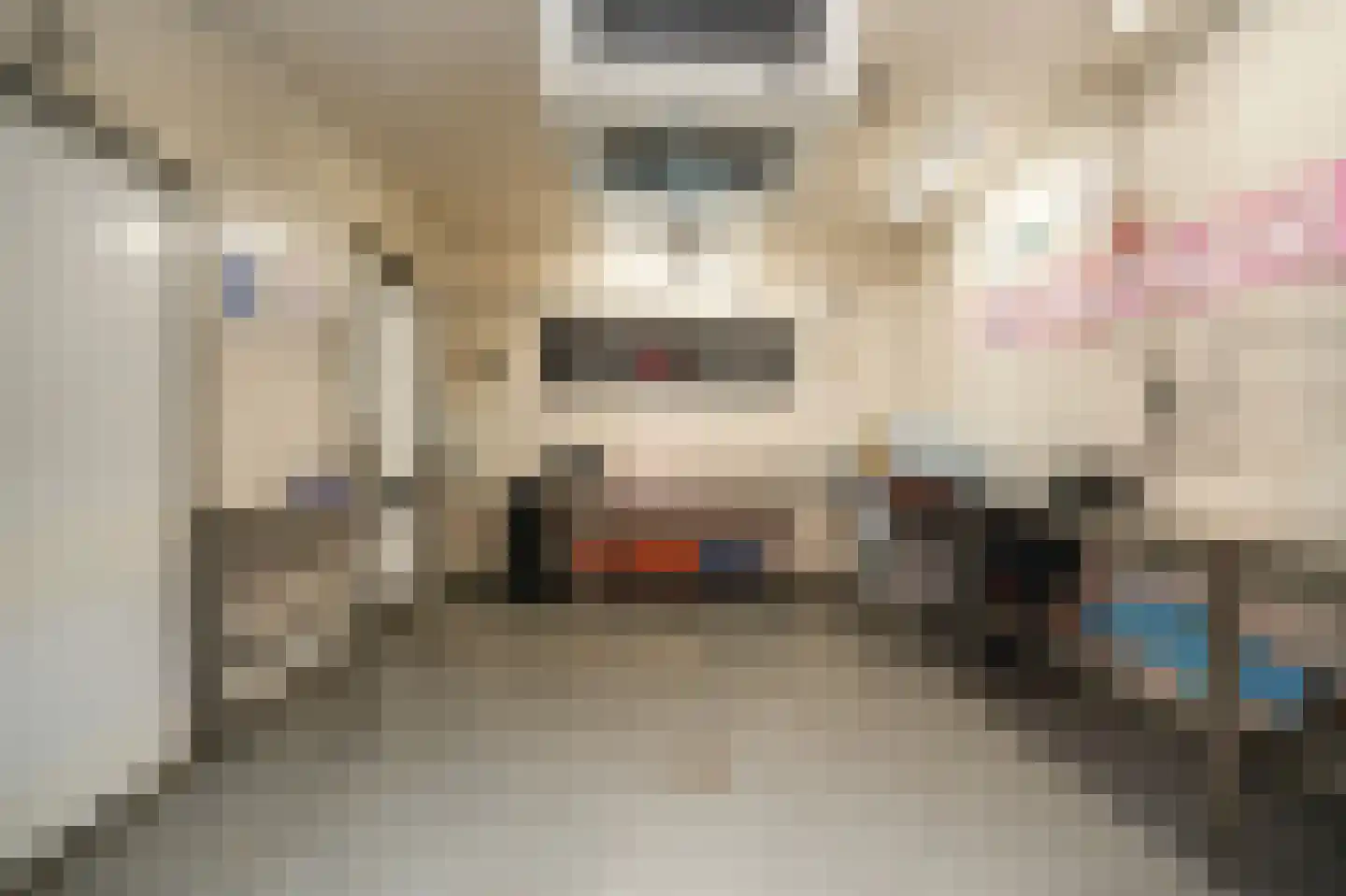 Uithovensestraat 10 Hedel thumbnail 53