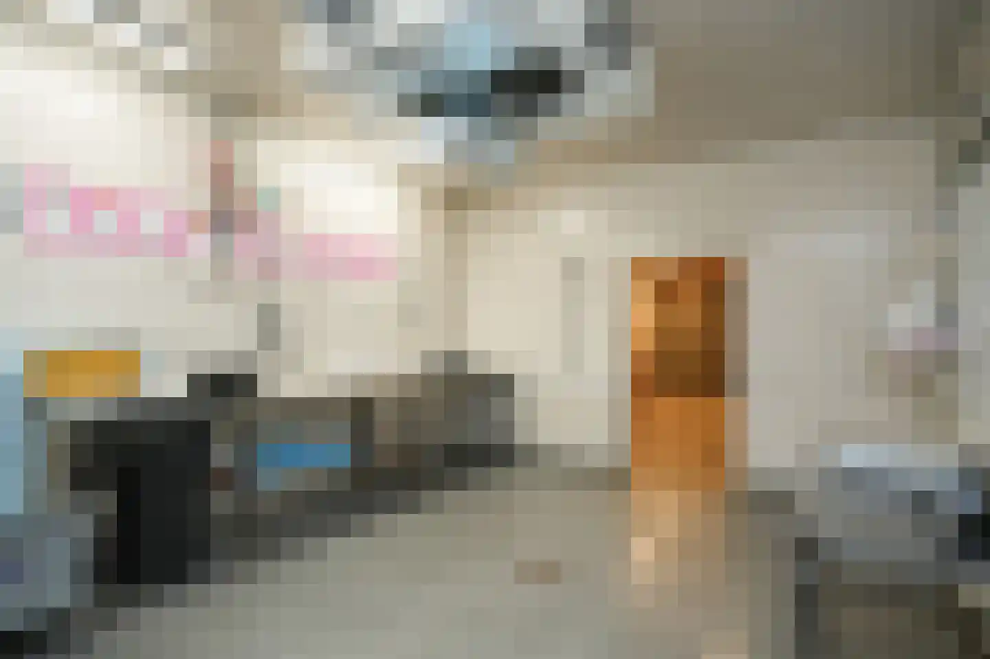 Uithovensestraat 10 Hedel thumbnail 54
