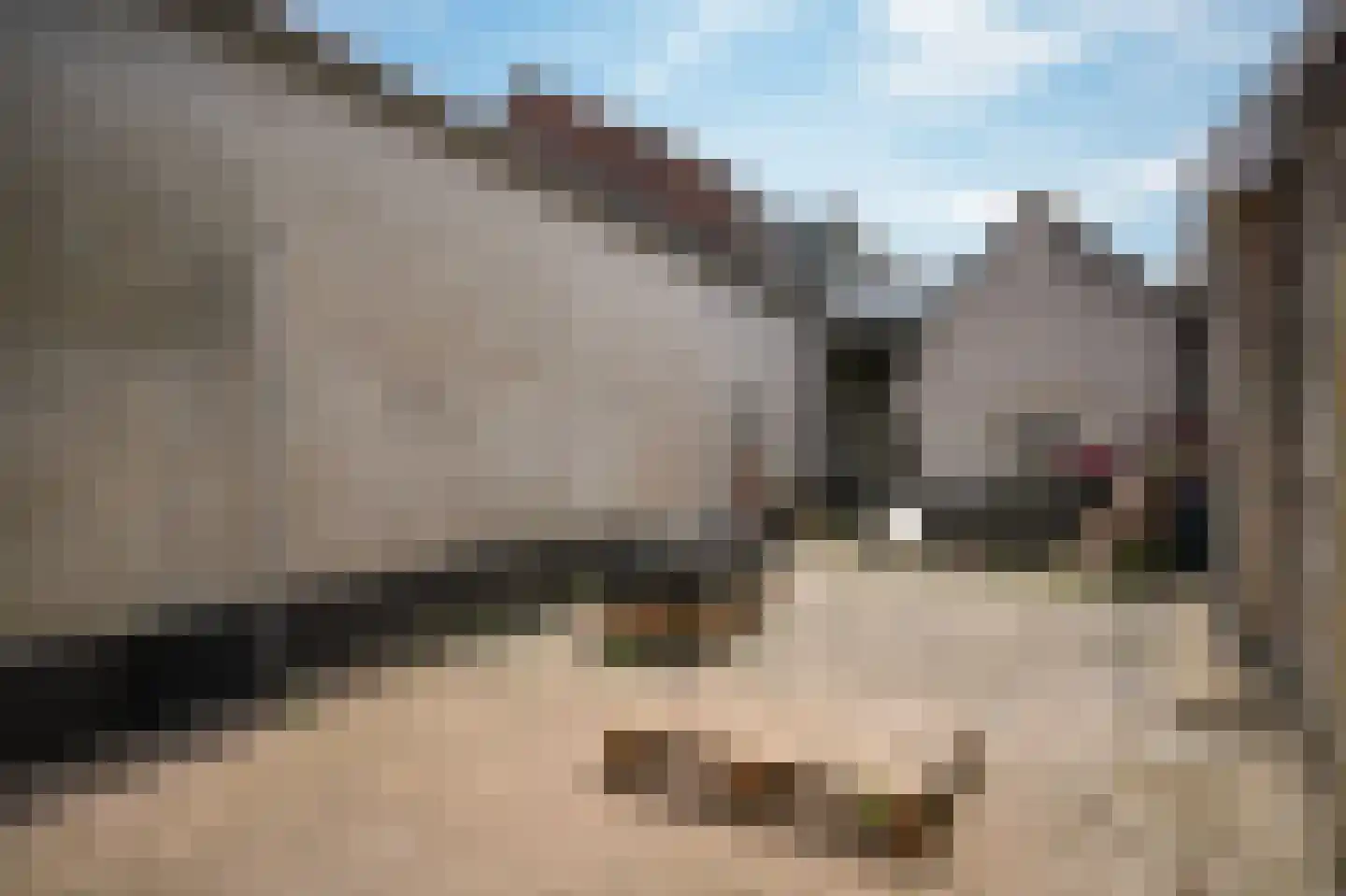 Uithovensestraat 10 Hedel thumbnail 57