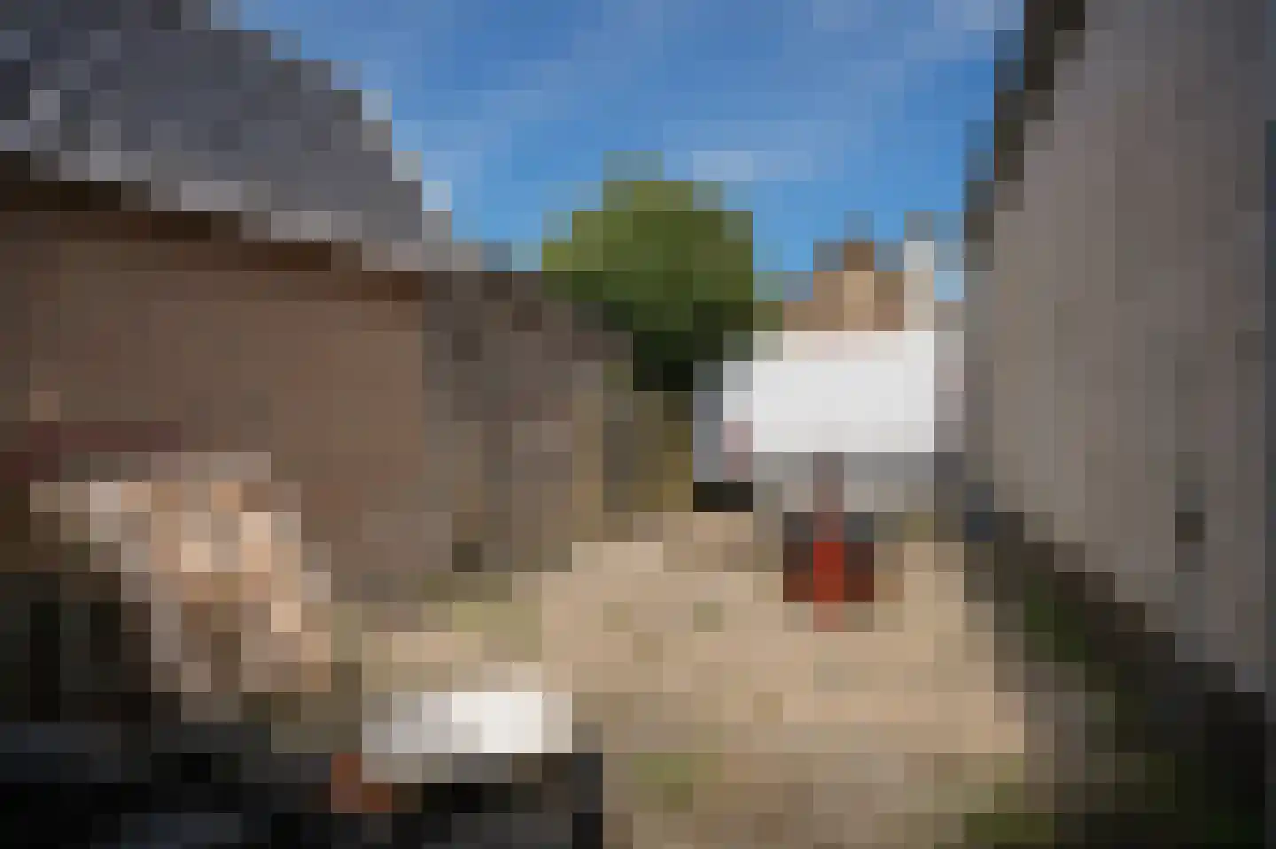 Uithovensestraat 10 Hedel thumbnail 58