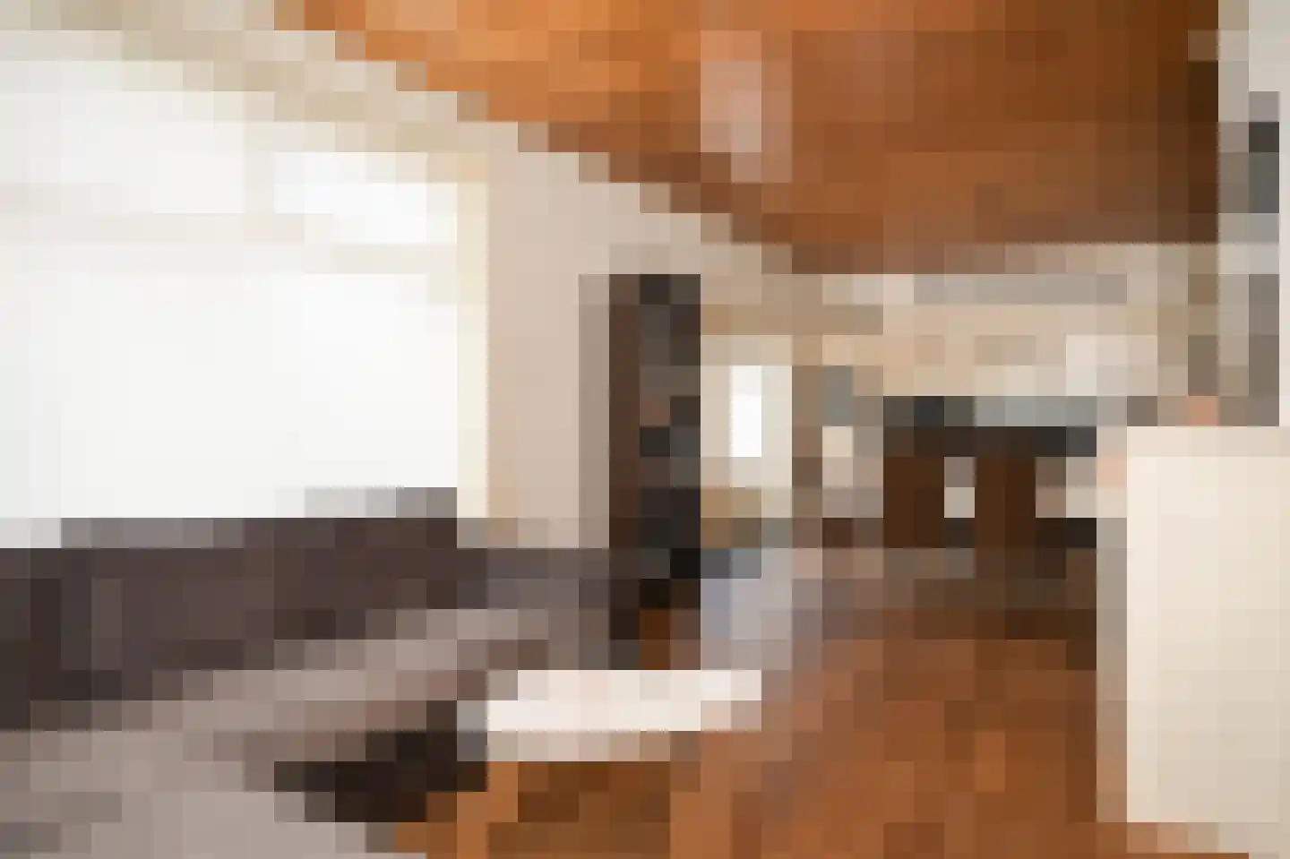 Uithovensestraat 10 Hedel thumbnail 6