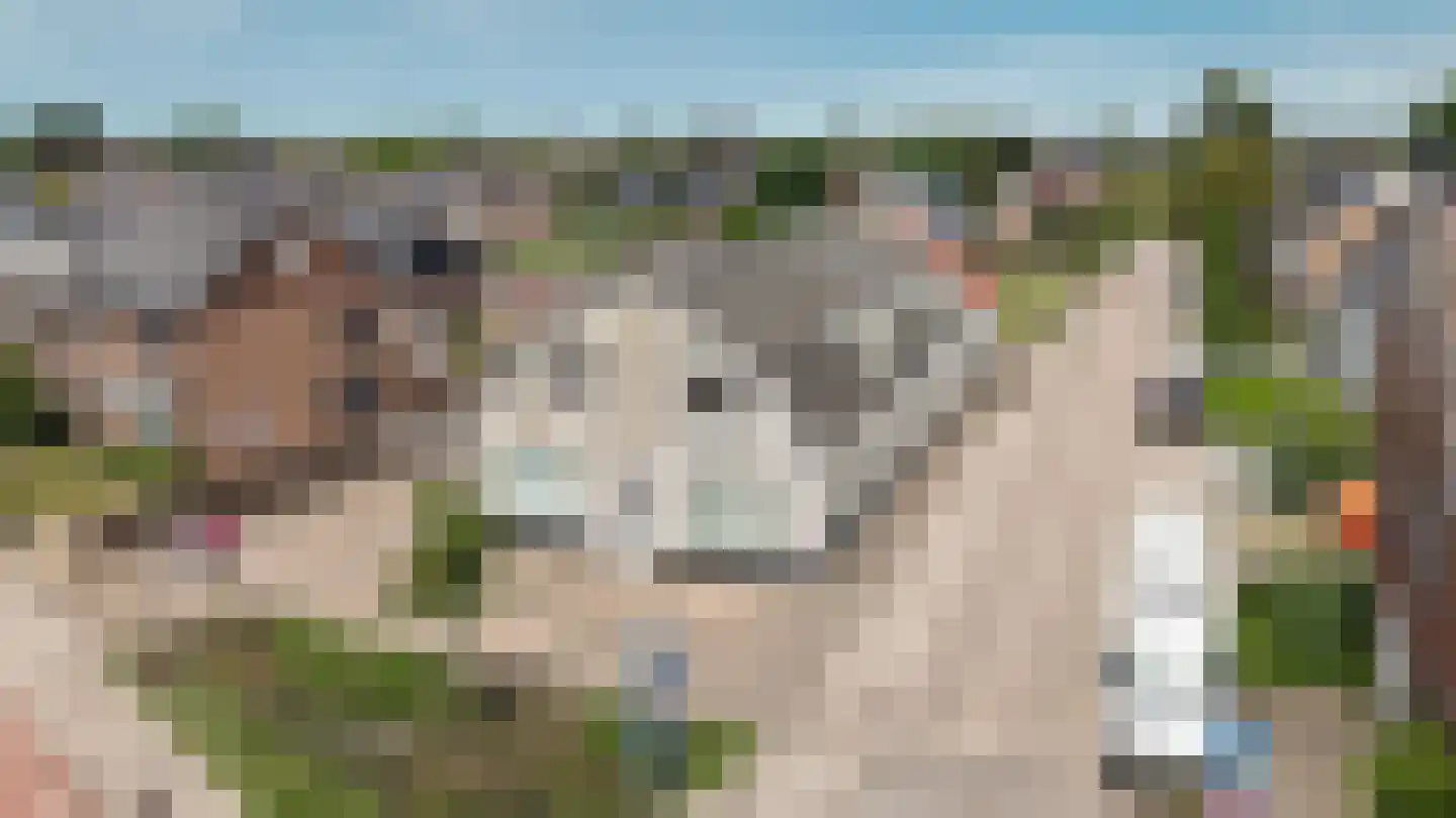 Uithovensestraat 10 Hedel thumbnail 67