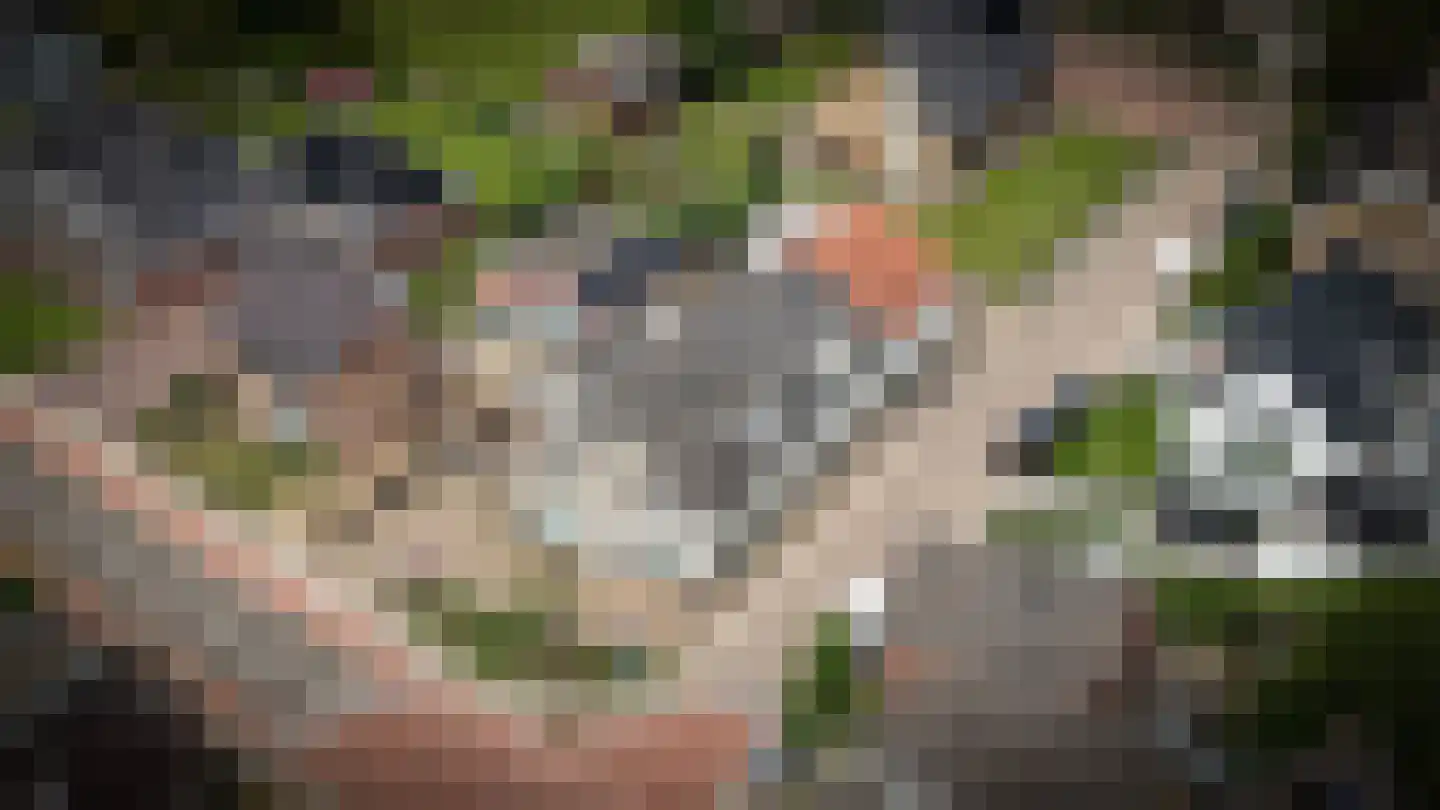 Uithovensestraat 10 Hedel thumbnail 69