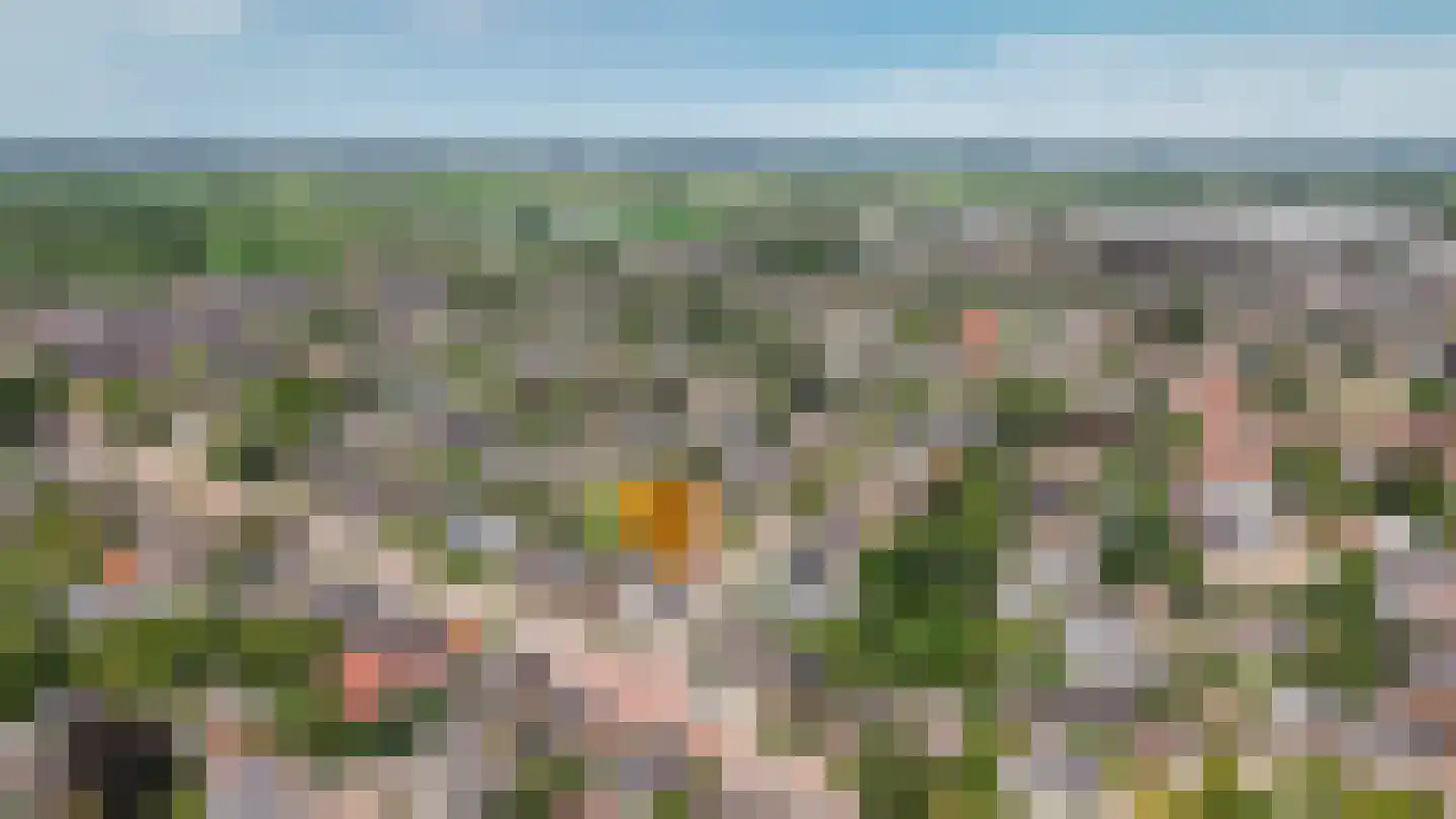Uithovensestraat 10 Hedel thumbnail 71