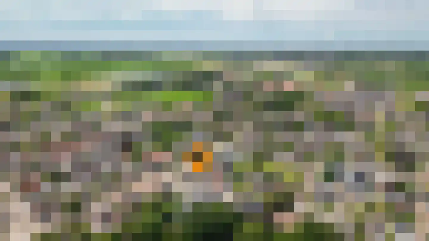 Uithovensestraat 10 Hedel thumbnail 72