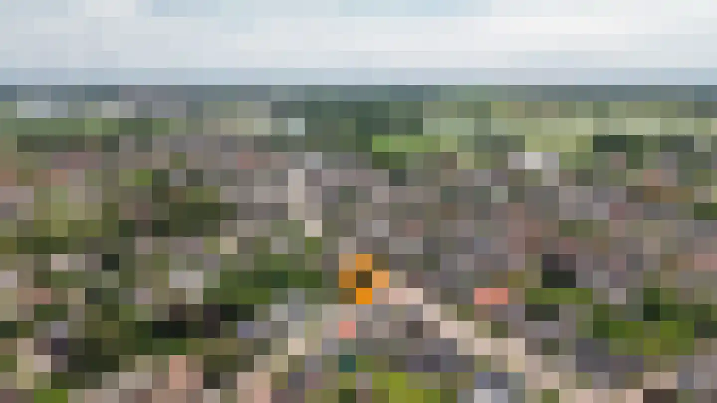 Uithovensestraat 10 Hedel thumbnail 73