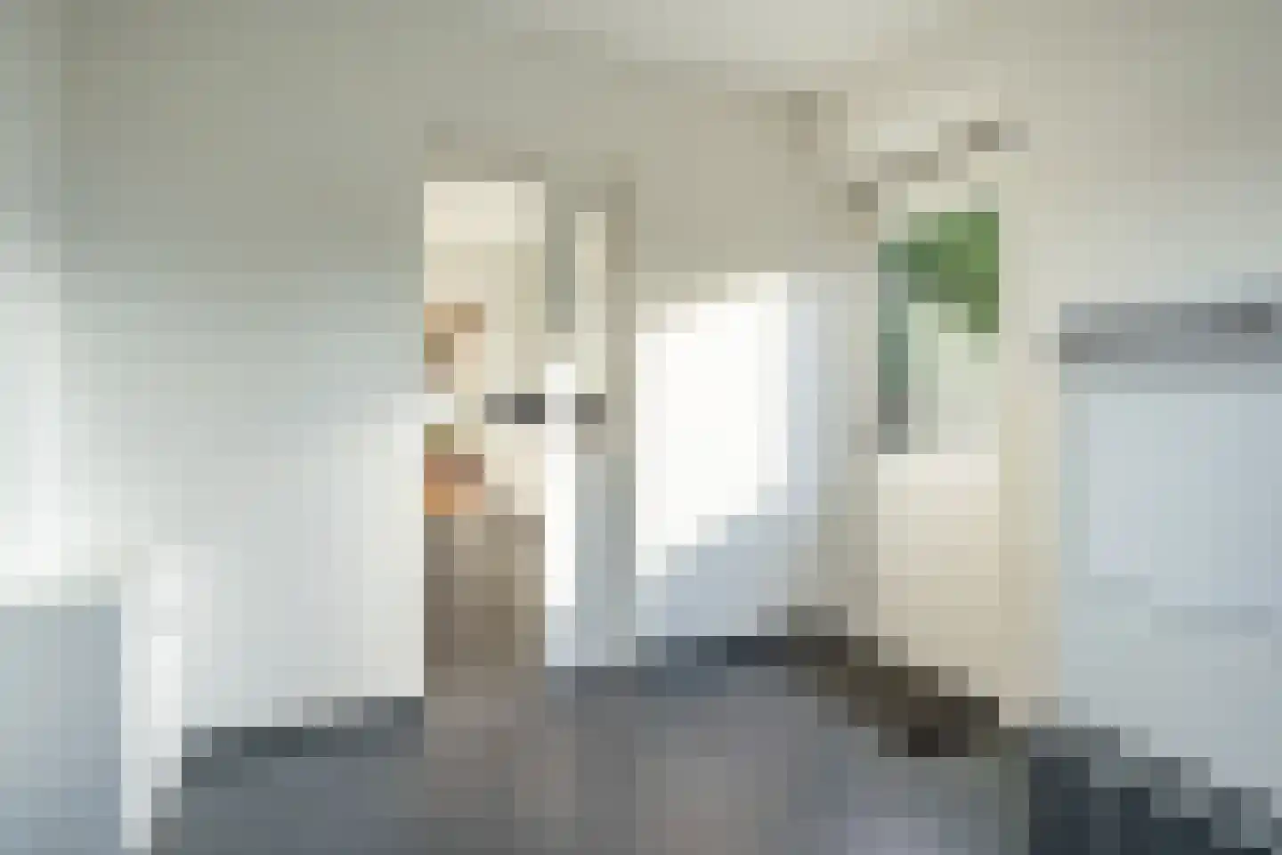 Uithovensestraat 27 Hedel thumbnail 15