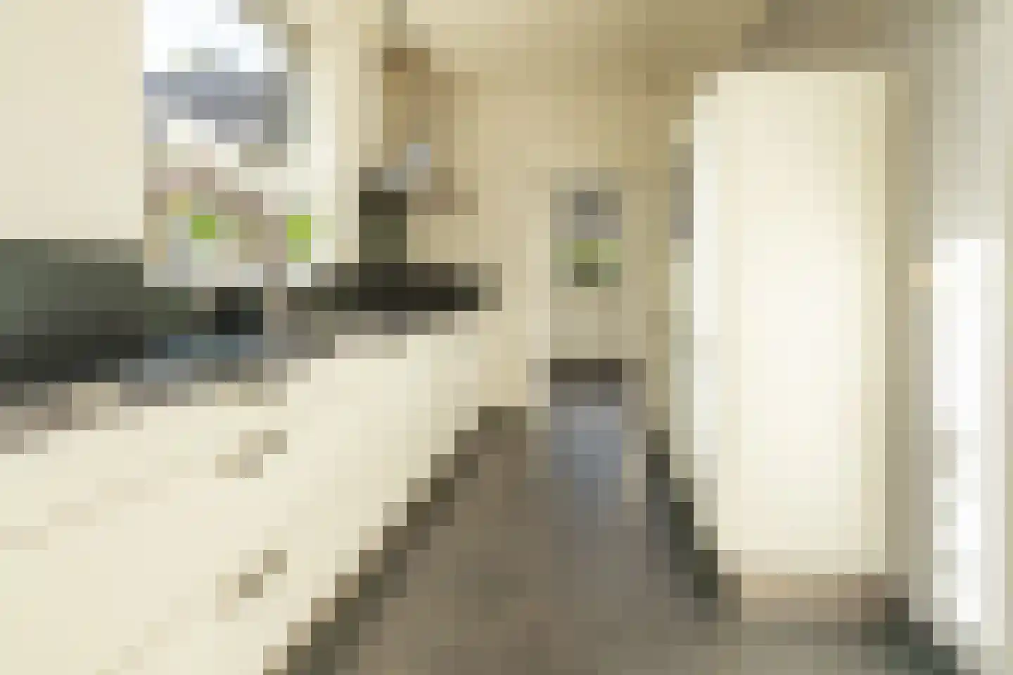 Uithovensestraat 27 Hedel thumbnail 17