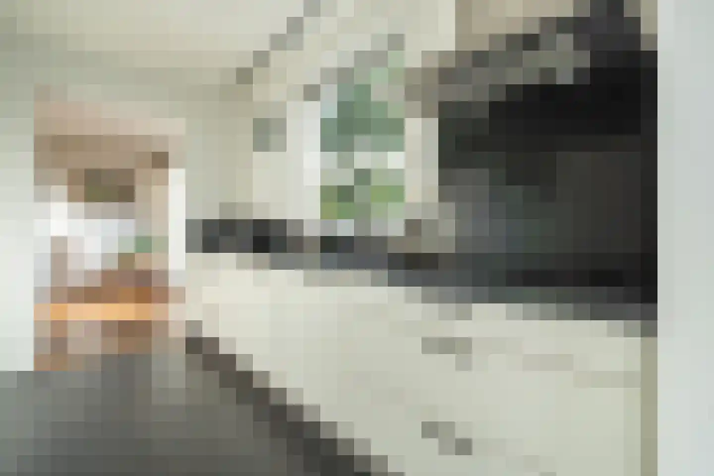 Uithovensestraat 27 Hedel thumbnail 18