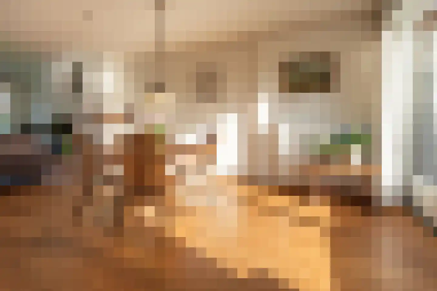 Uithovensestraat 27 Hedel thumbnail 20