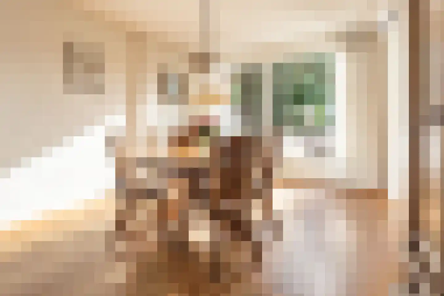 Uithovensestraat 27 Hedel thumbnail 22