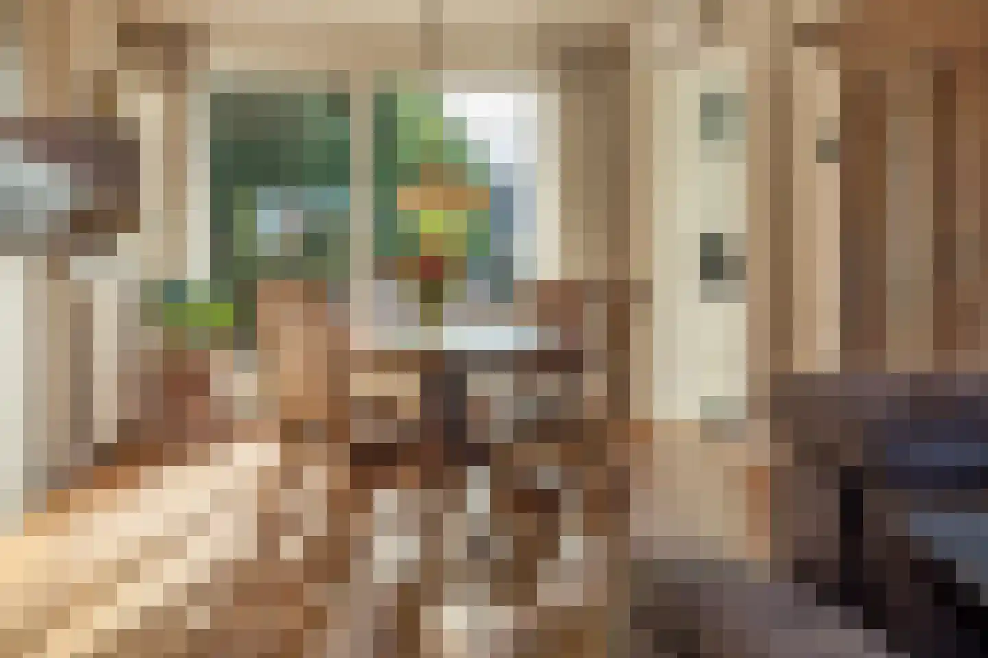Uithovensestraat 27 Hedel thumbnail 23
