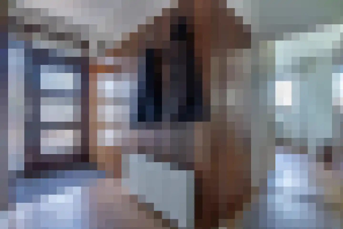 Uithovensestraat 27 Hedel thumbnail 29