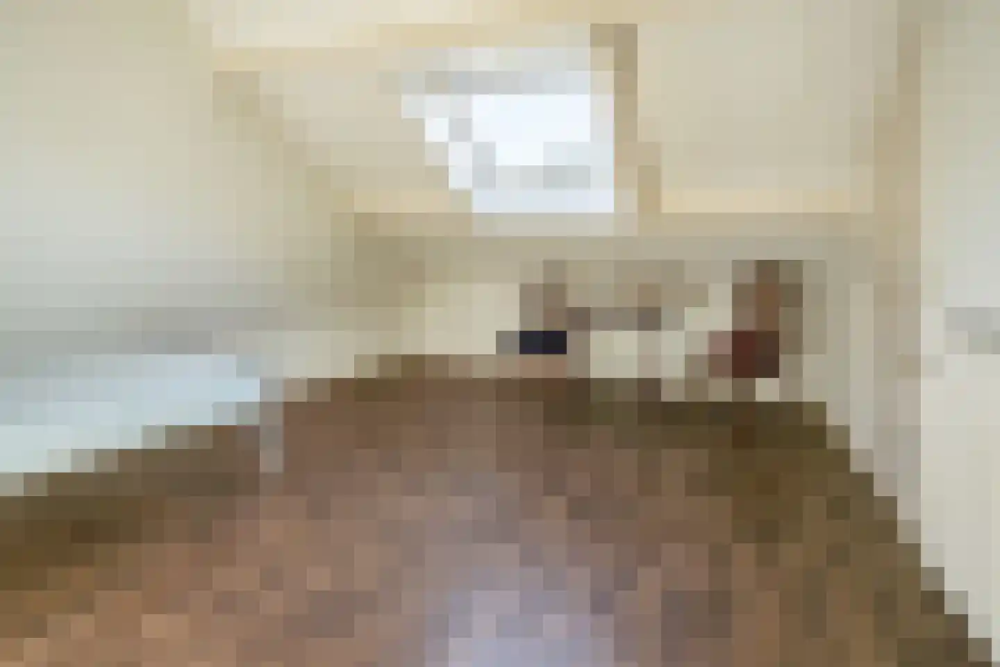 Uithovensestraat 27 Hedel thumbnail 38