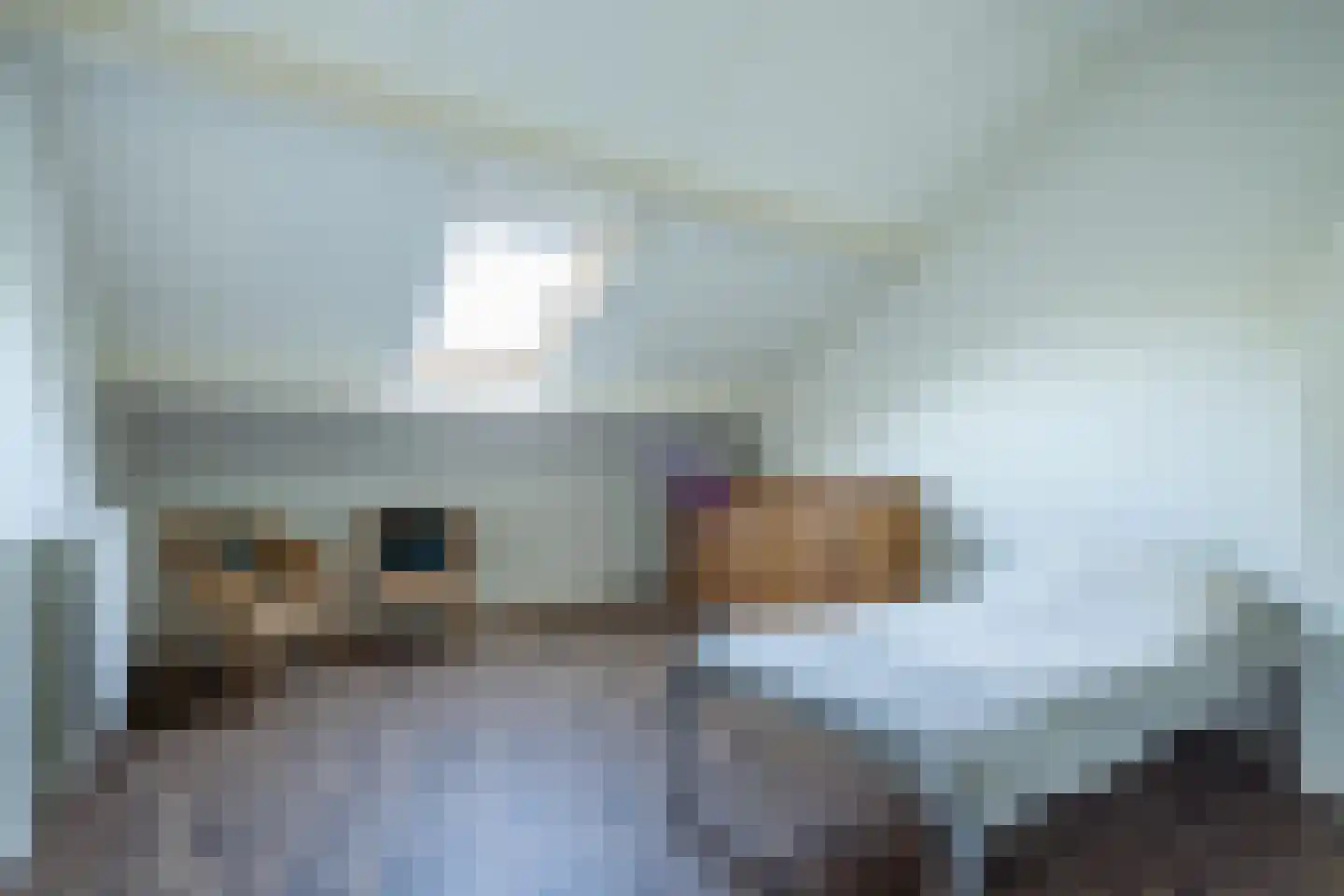 Uithovensestraat 27 Hedel thumbnail 41