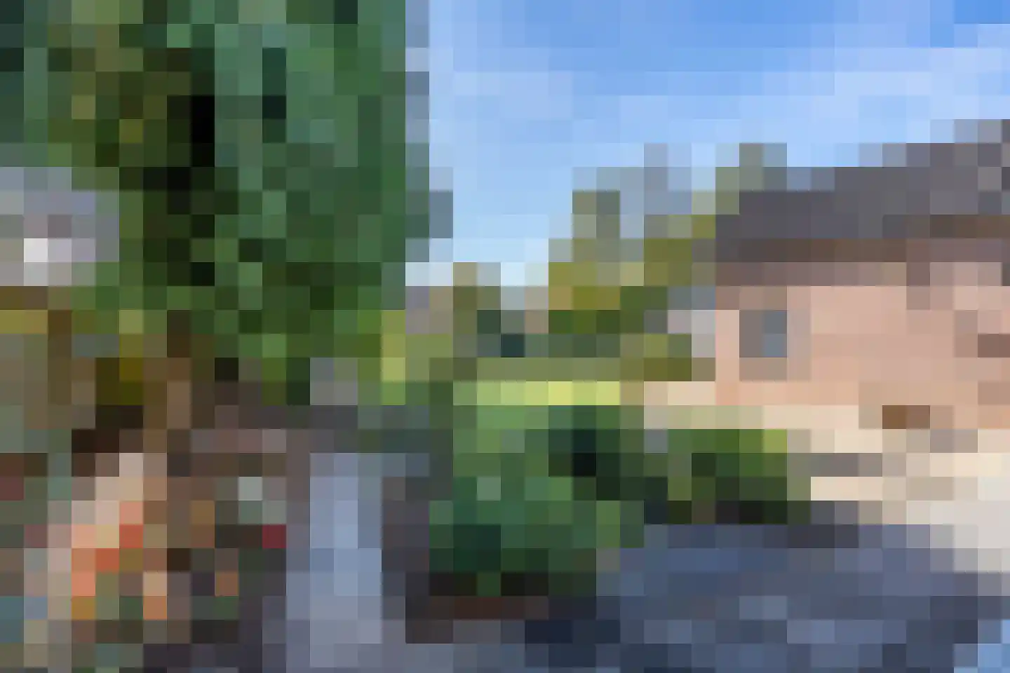 Uithovensestraat 27 Hedel thumbnail 44