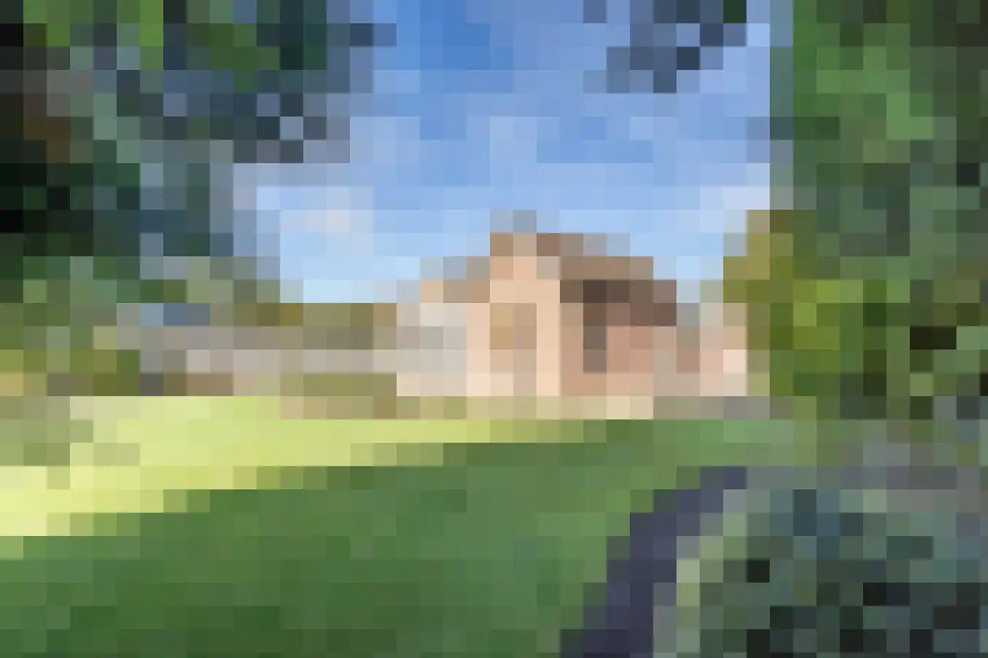 Uithovensestraat 27 Hedel thumbnail 50