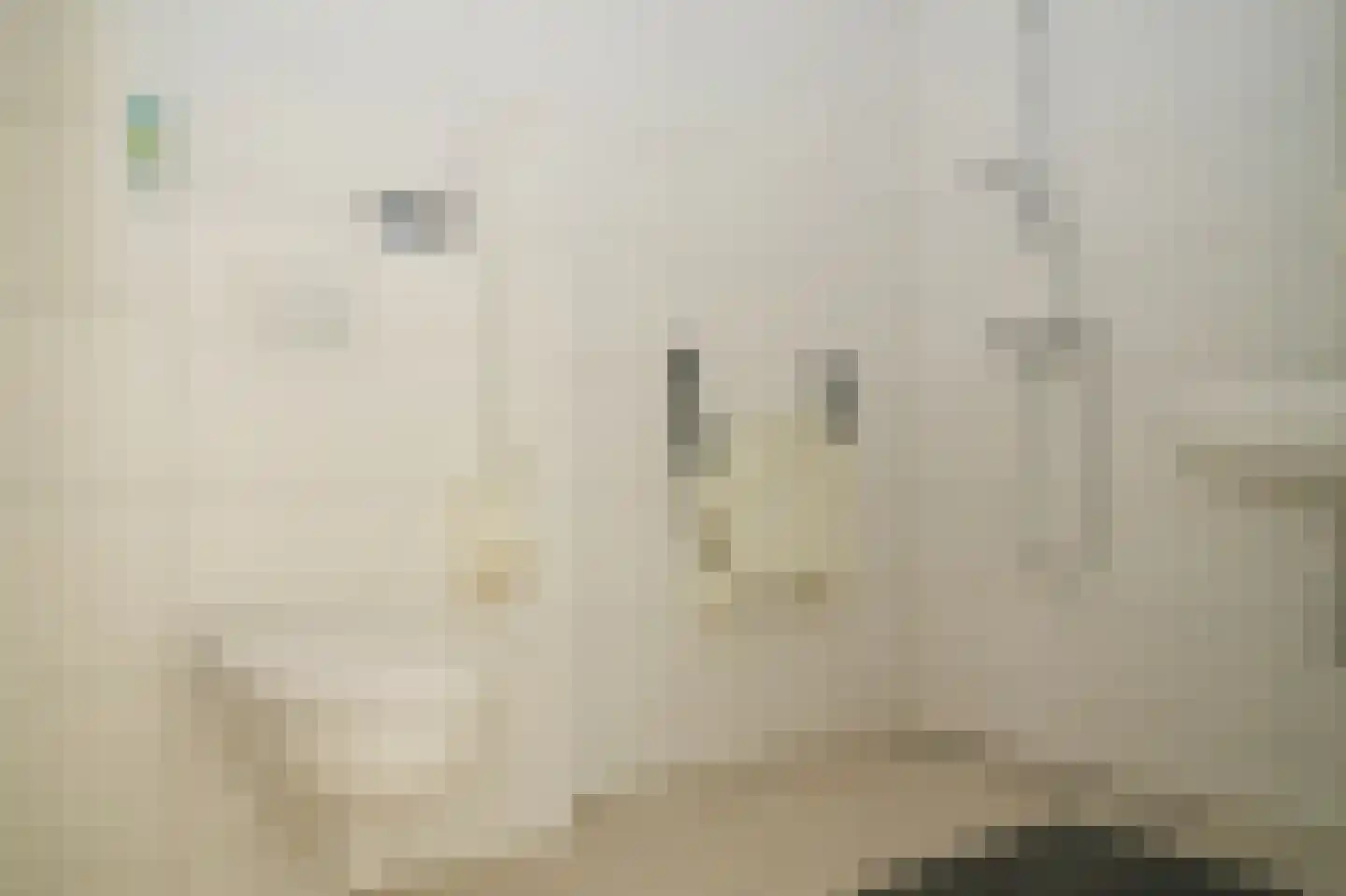 Uithovensestraat 3 Hedel thumbnail 16