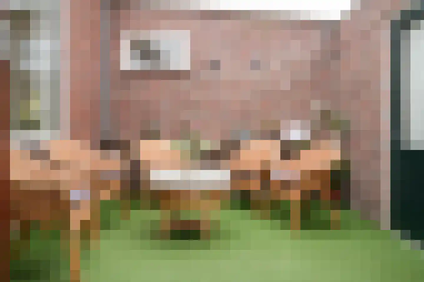 Uithovensestraat 3 Hedel thumbnail 25