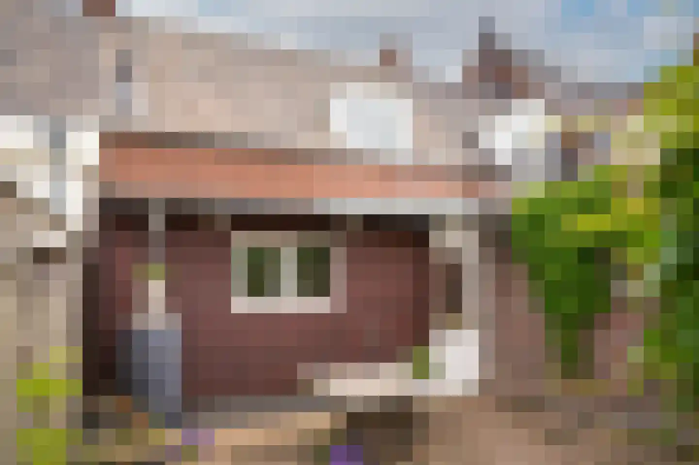 Uithovensestraat 3 Hedel thumbnail 27