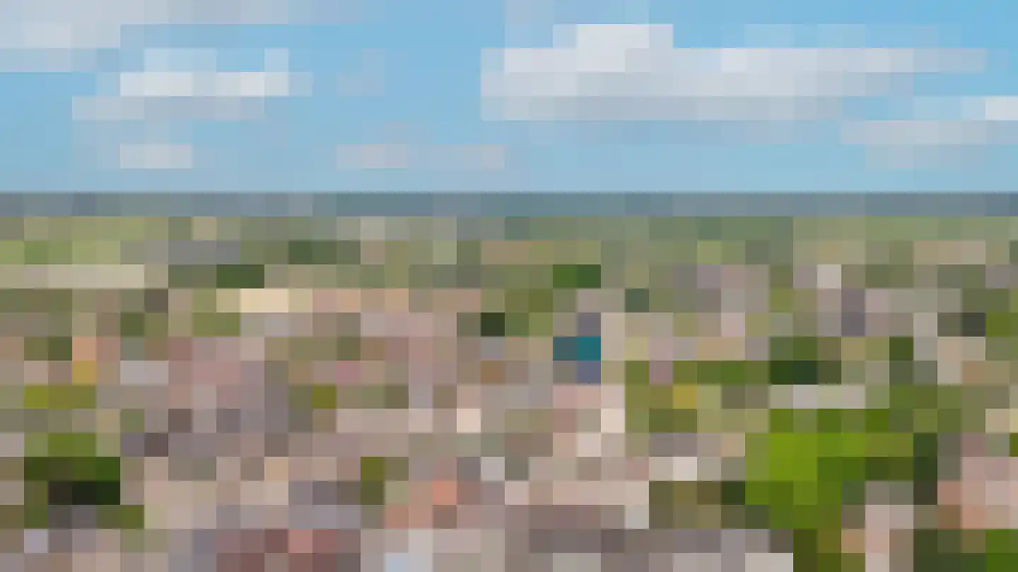 Uithovensestraat 3 Hedel thumbnail 4